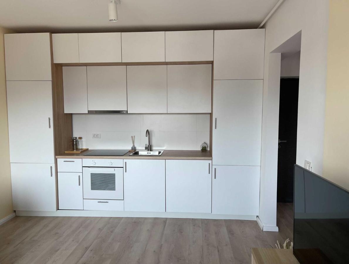 בוקרשט Oasis Luxury Apartment Near Presidential Palace מראה חיצוני תמונה